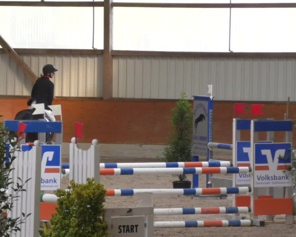 Reitturnier Viernheim 2018