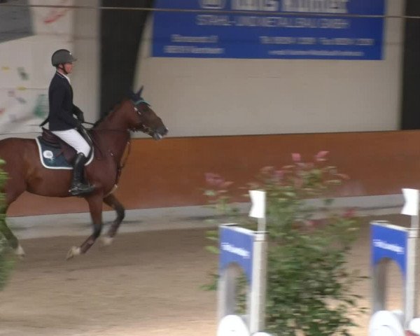 Reitturnier Viernheim 2018