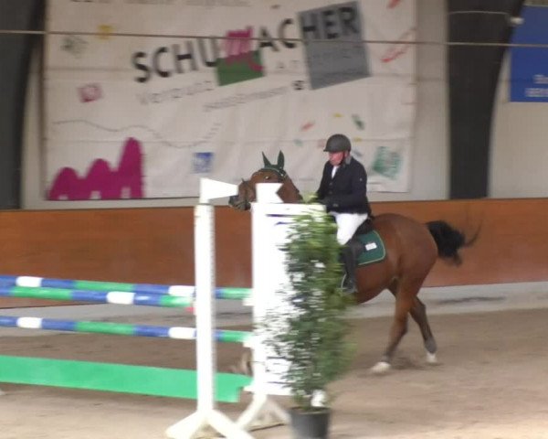 Reitturnier Viernheim 2018