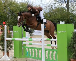 Springpferd Calimba BS (Westfale, 2011, von Comme il Faut)