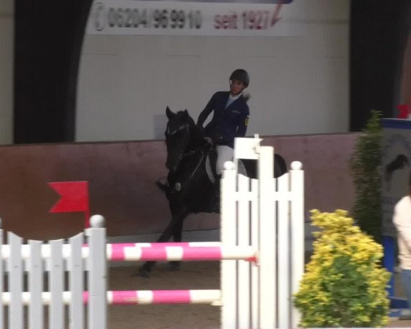 Reitturnier Viernheim 2018