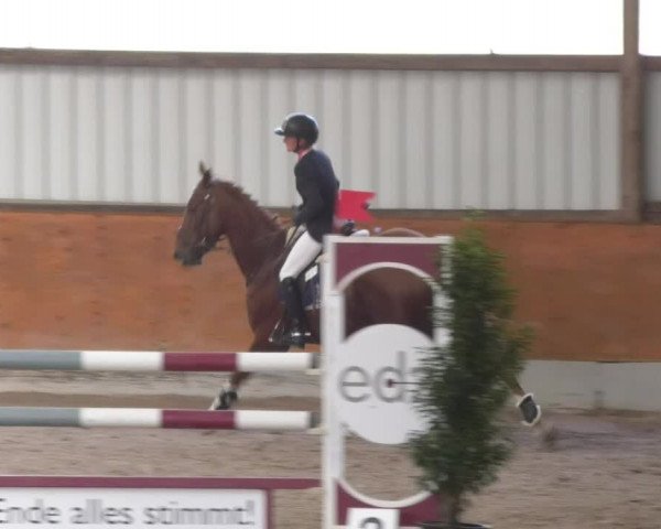 Reitturnier Viernheim 2018