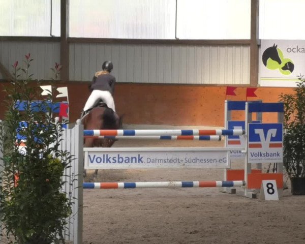 Reitturnier Viernheim 2018