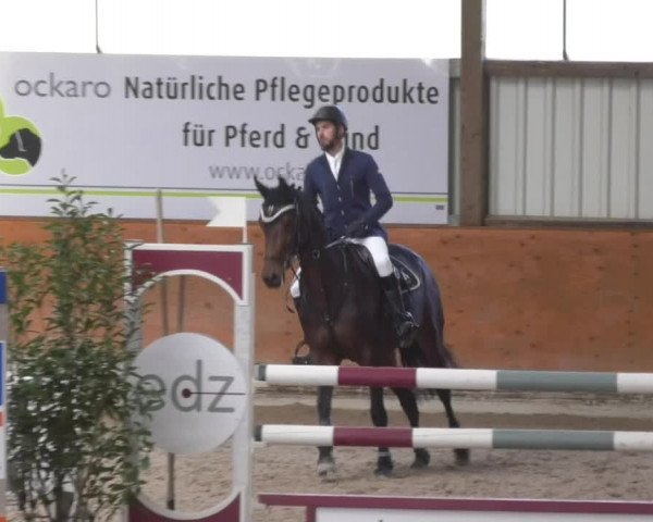 Reitturnier Viernheim 2018