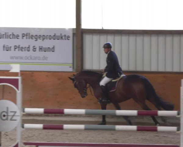 Reitturnier Viernheim 2018