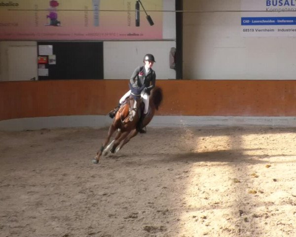 Reitturnier Viernheim 2018