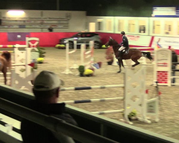 Salzkottener Pferdefestival 2018