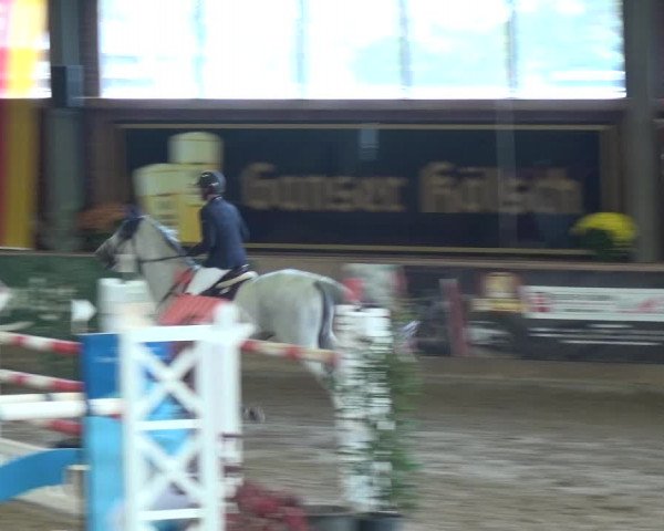 Reitturnier Köln-Leverkusen 2018