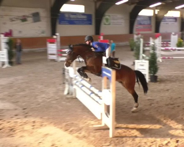 Reitturnier Viernheim 2018