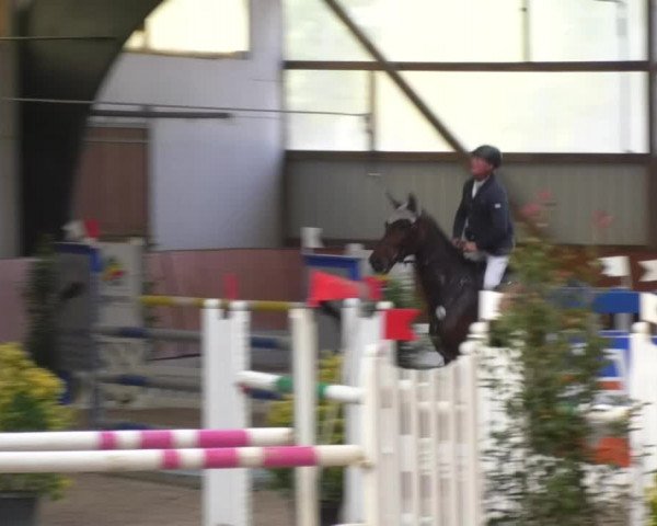 Reitturnier Viernheim 2018