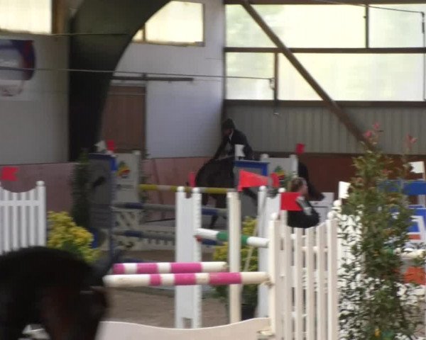 Reitturnier Viernheim 2018