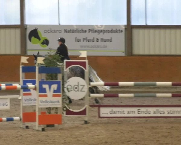 Reitturnier Viernheim 2018