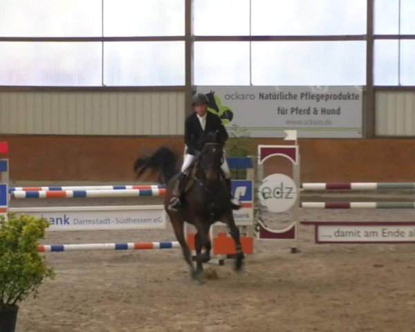 Reitturnier Viernheim 2018