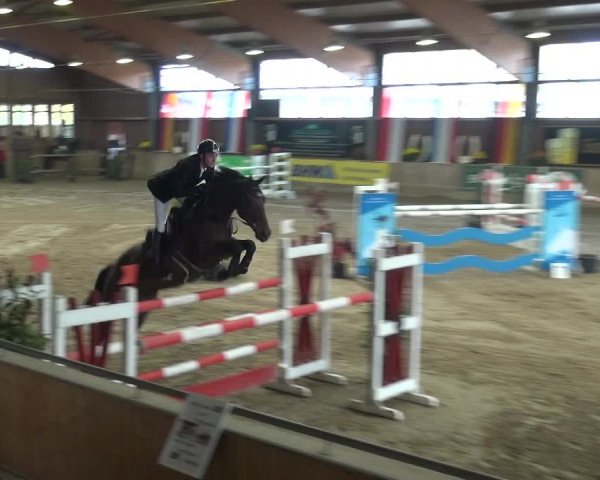 Reitturnier Köln-Leverkusen 2018