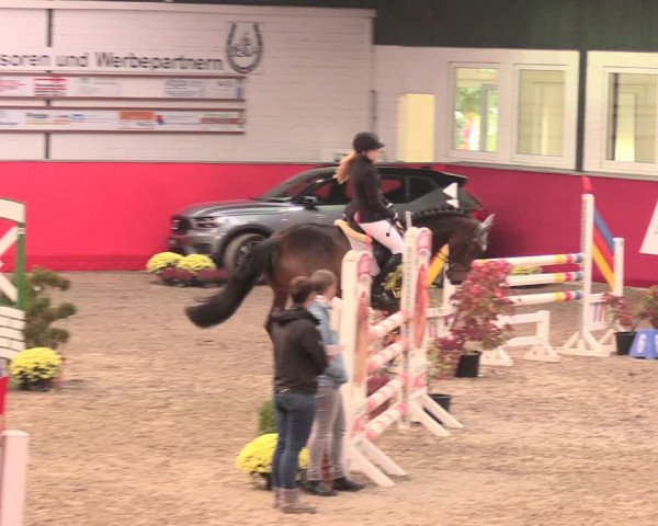 Salzkottener Pferdefestival 2018
