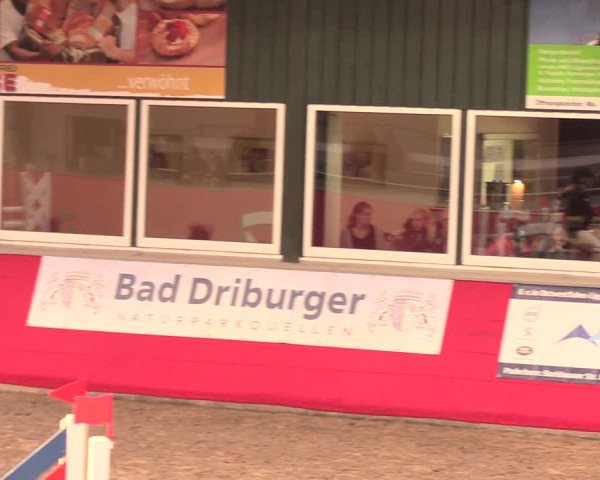 Salzkottener Pferdefestival 2018