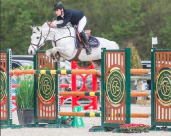 Springpferd Ballyowen Maybell Molly (Irish Sport Horse, 2002, von Monaghanstown Fred)