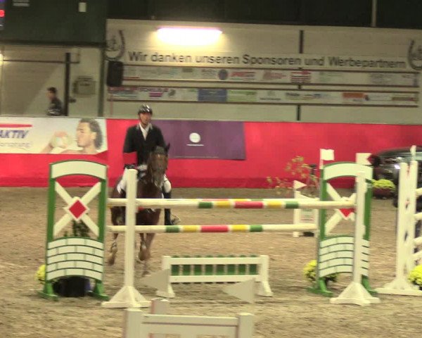 Salzkottener Pferdefestival 2018