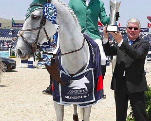 Springpferd Woulon L (KWPN (Niederländisches Warmblut), 2003, von Toulon)