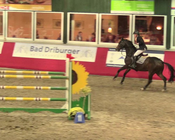 Salzkottener Pferdefestival 2018