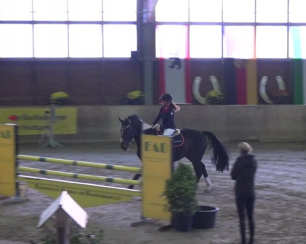 Reitturnier Köln-Leverkusen 2018