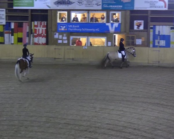 Reitturnier Sörup 2018