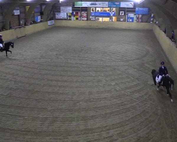 Reitturnier Sörup 2018
