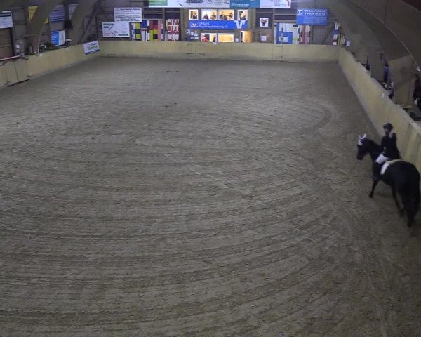 Reitturnier Sörup 2018