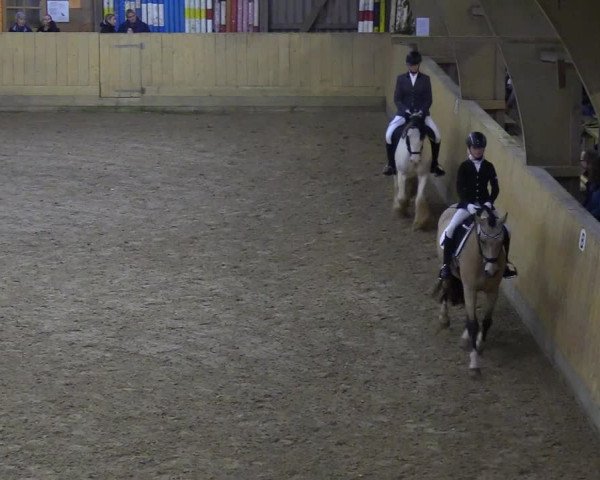 Reitturnier Sörup 2018