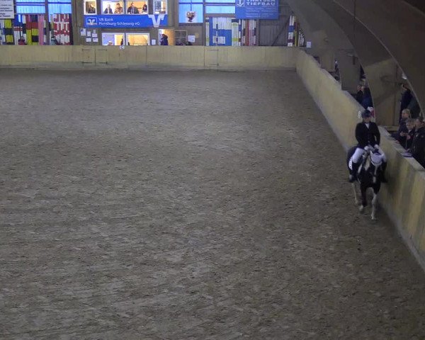 Reitturnier Sörup 2018