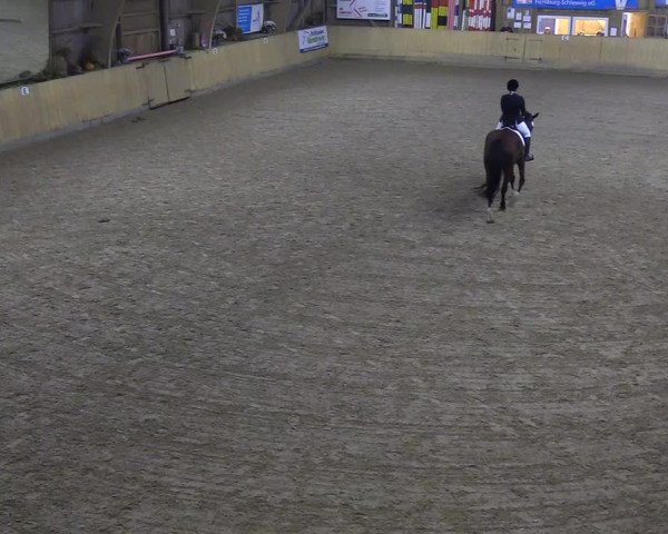 Reitturnier Sörup 2018