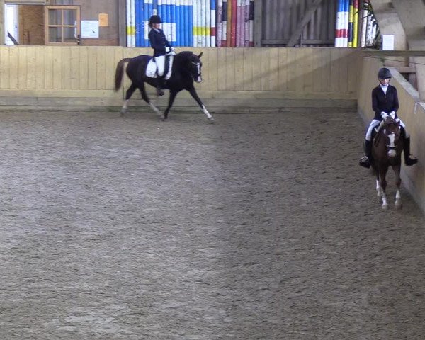 Reitturnier Sörup 2018