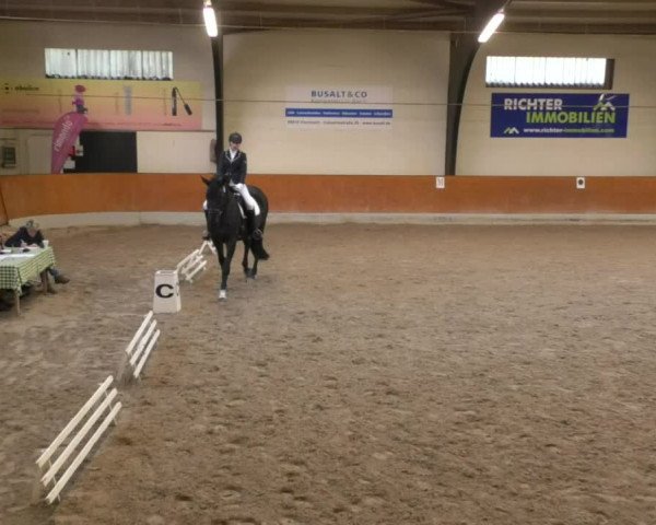 Reitturnier Viernheim 2018