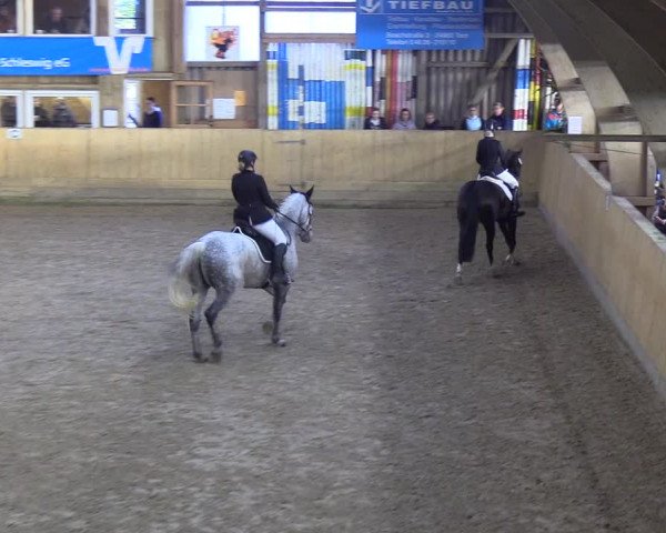 Reitturnier Sörup 2018