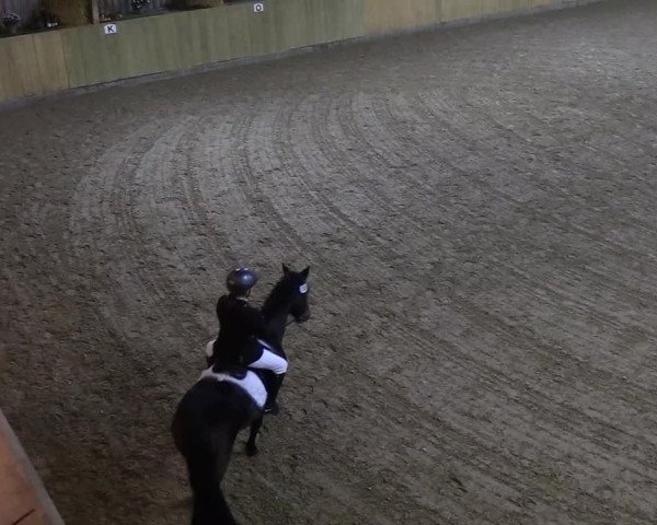 Reitturnier Sörup 2018