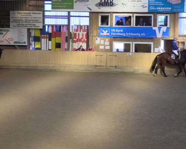 Reitturnier Sörup 2018
