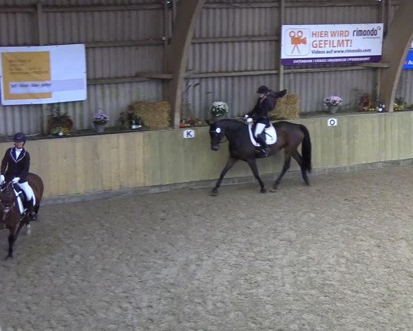 Reitturnier Sörup 2018