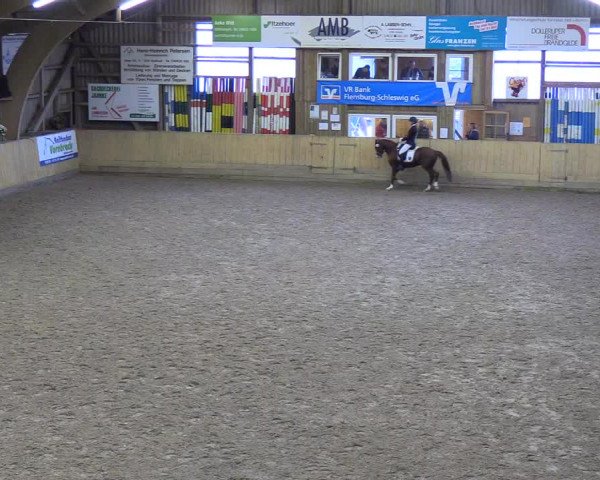 Reitturnier Sörup 2018