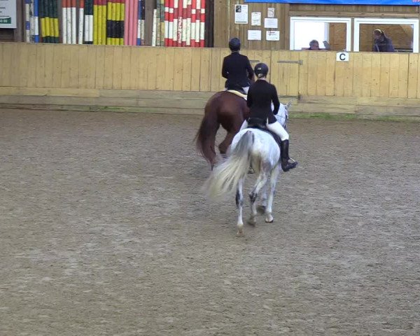 Reitturnier Sörup 2018
