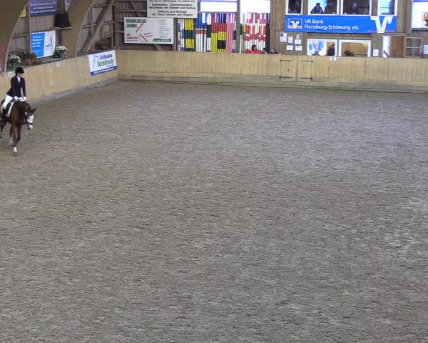 Reitturnier Sörup 2018