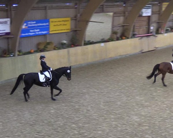 Reitturnier Sörup 2018