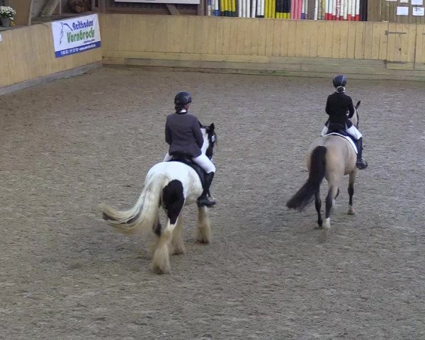 Reitturnier Sörup 2018