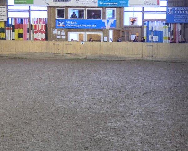 Reitturnier Sörup 2018