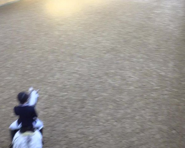 Reitturnier Sörup 2018