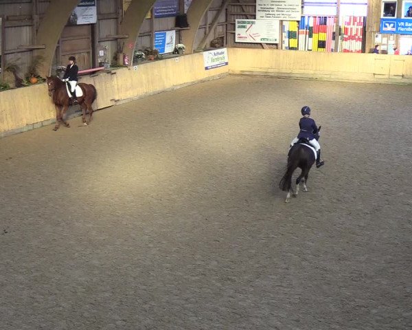 Reitturnier Sörup 2018