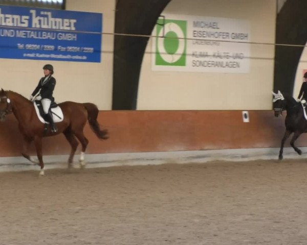 Reitturnier Viernheim 2018