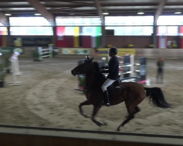Reitturnier Köln-Leverkusen 2018
