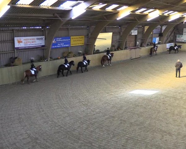 Reitturnier Sörup 2018