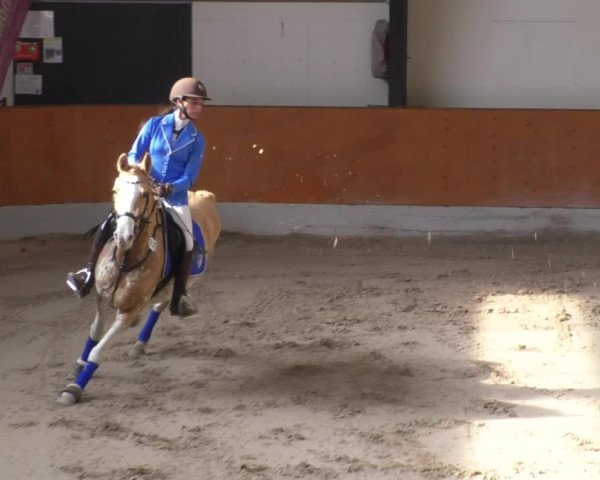 Reitturnier Viernheim 2018