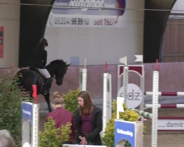 Reitturnier Viernheim 2018
